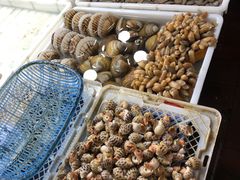 -东漖肉菜综合市场