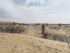 -亿利库布其七星湖沙漠生态旅游区