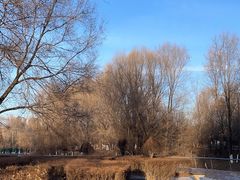 -长白岛森林公园