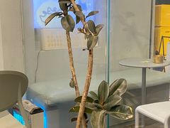 -茶力的小怪兽(梅林卓悦汇店)