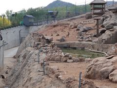 -石家庄市动物园