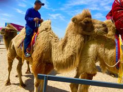 -库伦旗银沙湾旅游景区
