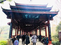 -重庆彩云湖湿地公园