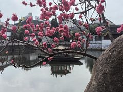 -水绘园