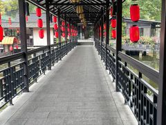 -侨美·唐荔园·40年地道粤菜