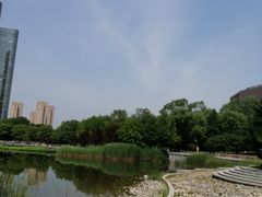 -大望京公园