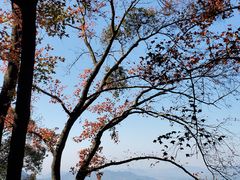 -广州市石门国家森林公园