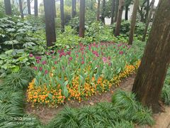 -上海醉白池公园