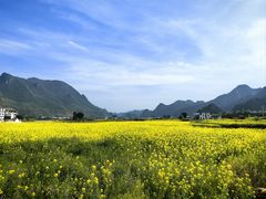 -万峰林风景区