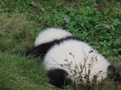 -外滩