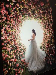 点击看大图 -太郎花子婚纱摄影艺术中心