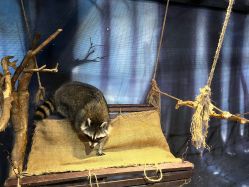 -酷嗒动物文化乐园(cutezoo西溪乐天城店)