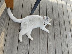 -前小桔亲子创意农场·草莓采摘·露营烧烤