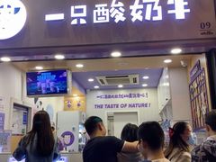 门面-一只酸奶牛(八一路店)
