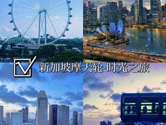 -新加坡摩天观景轮