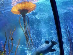 -沈阳海洋探索中心