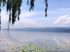 -西昌邛海湿地