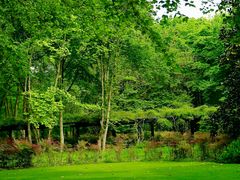 -上海共青森林公园