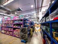 -逝水玩具折扣店