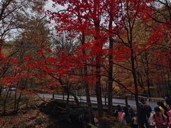 -关门山森林公园