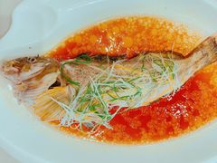 -頂好酒家·经典粤菜(海信广场店)