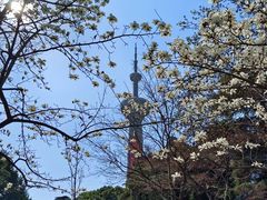 -南京古林公园