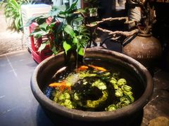 -有才叔北京时间涮肉(紫薇尚层店)