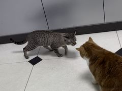 -酷宠动物医院(天通西苑店)