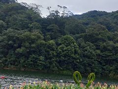 -广州市石门国家森林公园