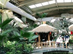 -南宫五洲植物乐园