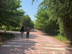 -古柏渡飞黄旅游区