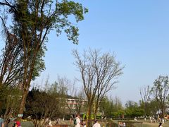 -铁山坪森林公园