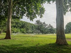 -河南省黄河迎宾馆