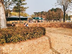 -海珠儿童公园