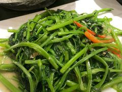腐乳空心菜-煲煲好(朝阳门店)