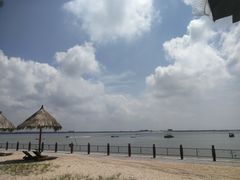 -北海金海湾红树林生态旅游区