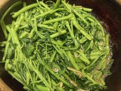 -熠盛粤味·顺德桑拿鸡(永康路店)
