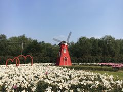 -白塔湖国家湿地公园