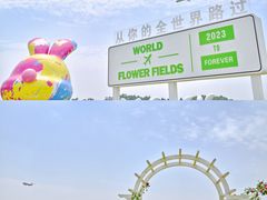 -空港花田景区