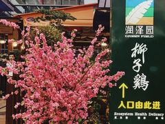 门面-润泽园椰子鸡(汇一城店)