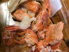 -超级物种·波龙工坊(国贸店)