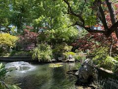 -上海醉白池公园