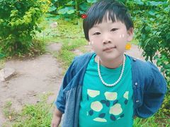 -丁香湖公园