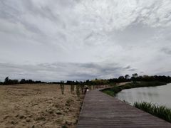 -东郊湿地公园