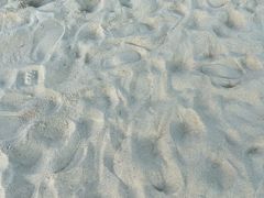 -玫瑰海岸文化旅游度假区