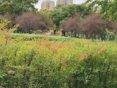 -白塘生态植物园