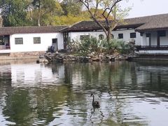 -无锡蠡湖国家湿地公园-蠡园
