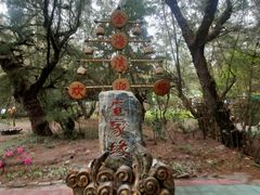 -北海金海湾红树林生态旅游区