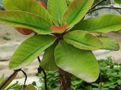 -维乐口腔医院(福清院)