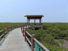 -北海金海湾红树林生态旅游区